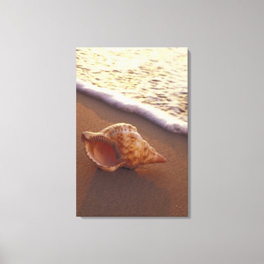 VS, Hawaii, Maui, Kihei, Evening light on Canvas Afdruk (Voorkant)