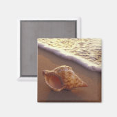 VS, Hawaii, Maui, Kihei, Evening light on Magneet (Voorkant / Achterkant)