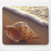 VS, Hawaii, Maui, Kihei, Evening light on Muismat (Voorkant)