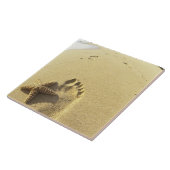 VS, Hawaii, Maui, Makena Beach, Footprint en Tegeltje (Zijkant)