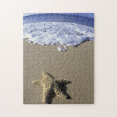 VS, Hawaii, Maui, Makena Beach, Starfish en Legpuzzel (Verticaal)