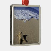 VS, Hawaii, Maui, Makena Beach, Starfish en Metalen Ornament (Rechts)