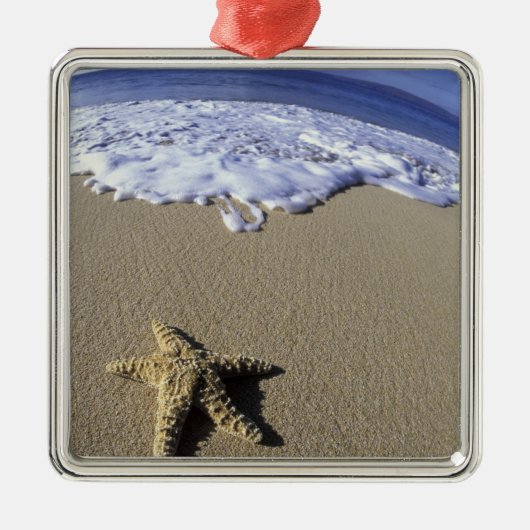 VS, Hawaii, Maui, Makena Beach, Starfish en Metalen Ornament (Voorkant)