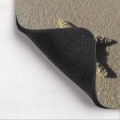 VS, Hawaii, Maui, Makena Beach, Starfish en Muismat (Hoek)