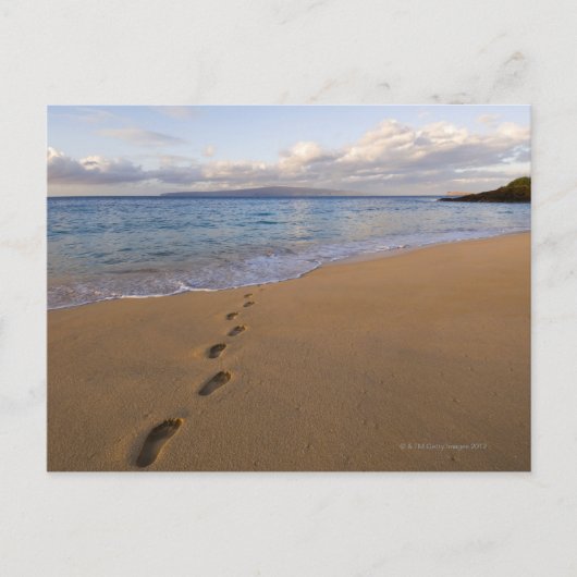 VS, Hawaii, Maui, Wailea, voetafdrukken op strand  Briefkaart (Voorkant)