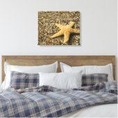 VS, HI, Kauai, Glass Beach met zeester Canvas Afdruk (Insitu (Slaapkamer))