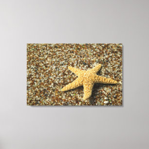 VS, HI, Kauai, Glass Beach met zeester Canvas Afdruk