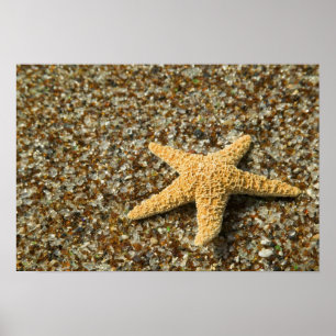 VS, HI, Kauai, Glass Beach met zeester Poster