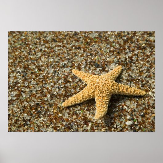 VS, HI, Kauai, Glass Beach met zeester Poster (Voorkant)