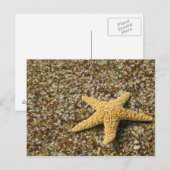 VS, HI, Kauai, strand van glas met Star-vis Briefkaart (Voorkant / Achterkant)