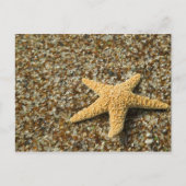 VS, HI, Kauai, strand van glas met Star-vis Briefkaart (Voorkant)