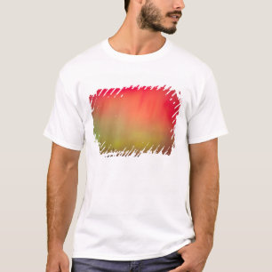 VS, Idaho. Aurora borealis, noordelijke lichten op T-shirt
