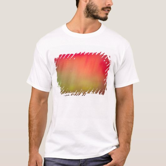 VS, Idaho. Aurora borealis, noordelijke lichten op T-shirt (Voorkant)