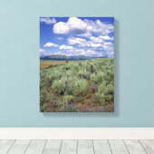 VS, Idaho, Camas Co. Alsem en lupine Canvas Afdruk (Insitu (Houten vloer))