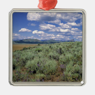 VS, Idaho, Camas Co. Alsem en lupine Metalen Ornament