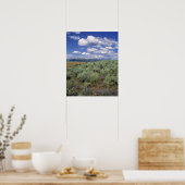 VS, Idaho, Camas Co. Sagebrush en lupine Poster (Keuken)