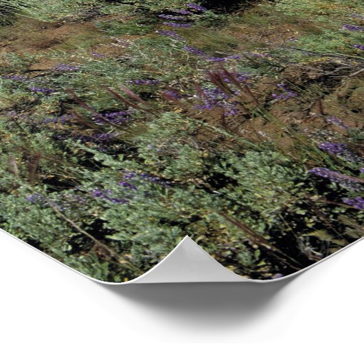 VS, Idaho, Camas Co. Sagebrush en lupine Poster (Hoek)
