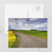 VS, Idaho, Idaho County, Koolzaadveld Briefkaart (Voorkant / Achterkant)