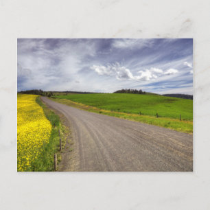 VS, Idaho, Idaho County, Koolzaadveld Briefkaart