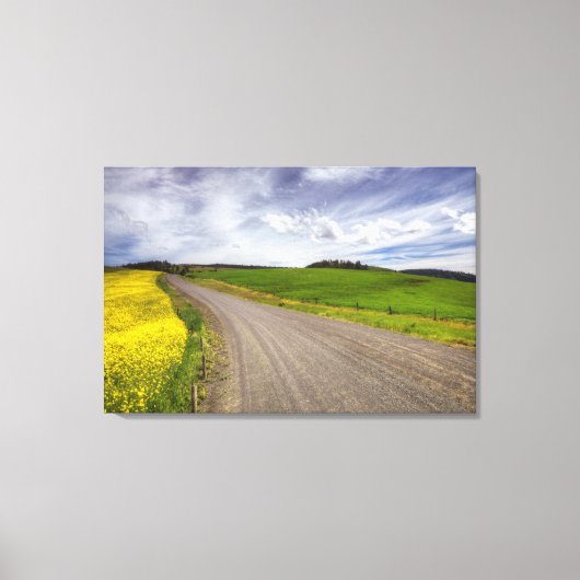 VS, Idaho, Idaho County, koolzaadveld Canvas Afdruk (Voorkant)
