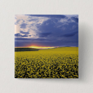 VS, Idaho, Swan Valley. Een vurige zonsondergang b Vierkante Button 5,1 Cm