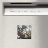 VS, Indiana, Auburn: Auburn, Cord, Duesenberg 9 Magneet (Insitu (Vaatwasser))