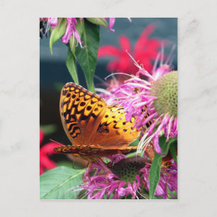 VS - Indiana - Brown County State Park Briefkaart