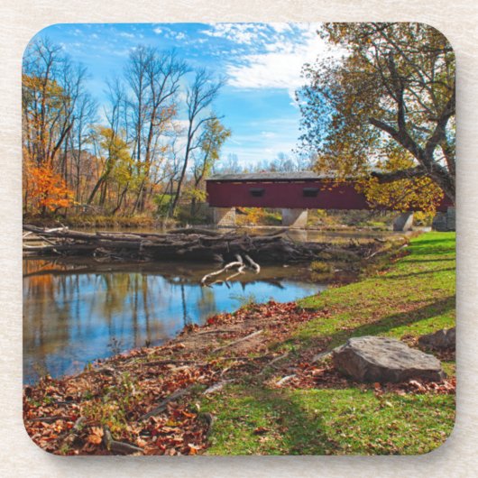 VS, Indiana, Cataract Falls State Recreation Drankjes Onderzetter (Voorkant)