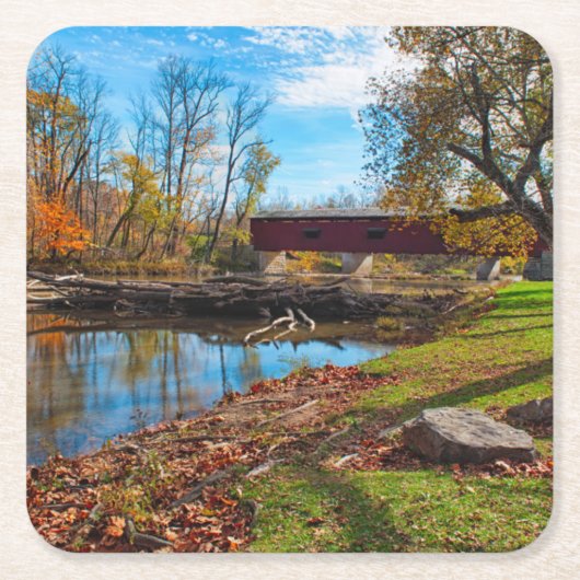 VS, Indiana, Cataract Falls State Recreation Kartonnen Onderzetters (Voorkant)