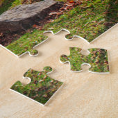 VS, Indiana, Cataract Falls State Recreation Legpuzzel (Zijkant)