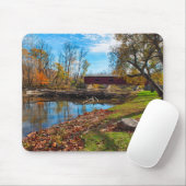 VS, Indiana, Cataract Falls State Recreation Muismat (Met muis)