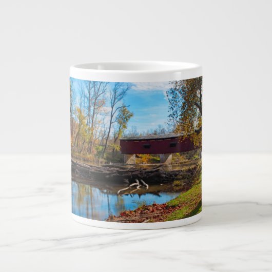 VS, Indiana, Cataract Herfst State Recreation Grote Koffiekop (Voorkant)