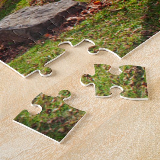 VS, Indiana, Cataract Herfst State Recreation Legpuzzel (Zijkant)