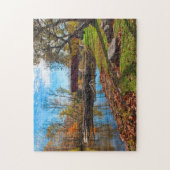 VS, Indiana, Cataract Herfst State Recreation Legpuzzel (Verticaal)