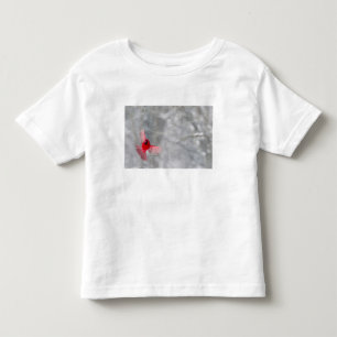 VS, Indiana, Indianapolis. Een mannelijke kardinaa Kinder Shirts
