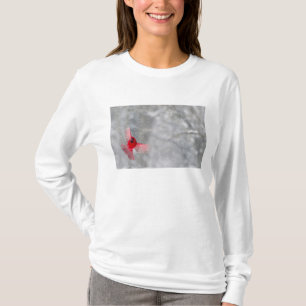 VS, Indiana, Indianapolis. Een mannelijke kardinaa T-shirt