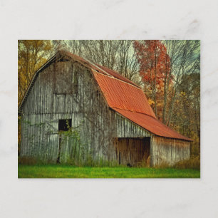 VS, Indiana. landelijk landschap, met wijnstok beg Briefkaart