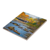 VS, Indiana. Recreatie van de Cataract-Herfst-staa Tegeltje (Zijkant)