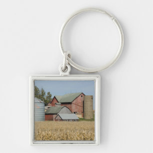 VS, IOWA, Froelich: Oude boerderij Sleutelhanger