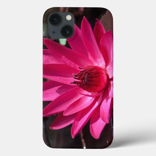 VS, Kansas, Bright Red Water Lilly Case-Mate iPhone Case (Achterkant)