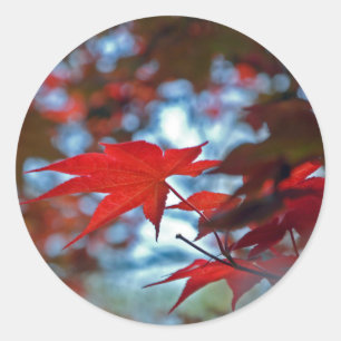 VS, Kansas. Herfstkleuren Ronde Sticker