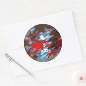 VS, Kansas. Herfstkleuren Ronde Sticker (Envelop)