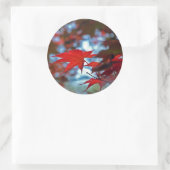 VS, Kansas. Herfstkleuren Ronde Sticker (Tas)