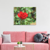 VS, Kansas, Red Rose Canvas Afdruk (Insitu (Woonkamer))