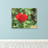 VS, Kansas, Red Rose Canvas Afdruk (Insitu (Houten vloer))
