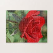 VS, Kansas, Red Rose Legpuzzel (Horizontaal)