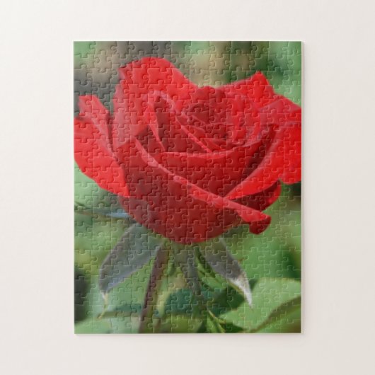 VS, Kansas, Red Rose Legpuzzel (Verticaal)