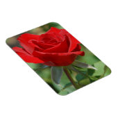 VS, Kansas, Red Rose Magneet (Rechterzijde)