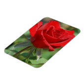 VS, Kansas, Red Rose Magneet (Linkerzijde)