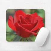 VS, Kansas, Red Rose Muismat (Met muis)